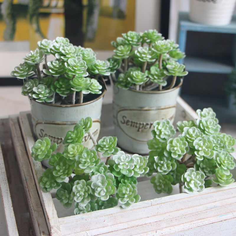 Mini Bonsai Decorative Plant-home accent-wanahavit-Green with Red-wanahavit