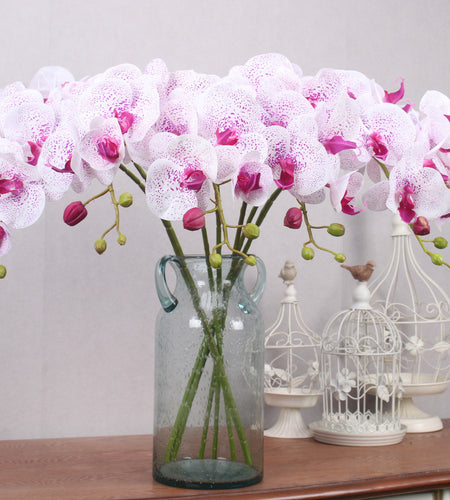 Realistic Orchid Butterfly-home accent-wanahavit-PointPurple-wanahavit