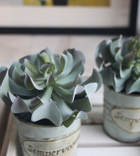 Artificial Aloe Succulent Plant-home accent-wanahavit-Green-wanahavit