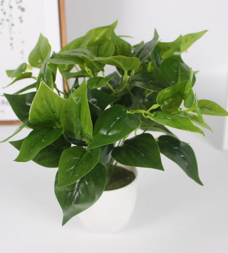 Chicken Heart Green Leaves-home accent-wanahavit-wanahavit