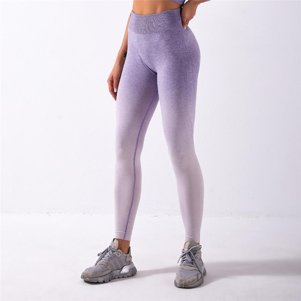 Ombre Seamless 2 Pieces Set Women Suit Gym Workout Clothes Sport Bra Fitness Crop Top And Shorts Pants Leggings Yoga Set A014TS