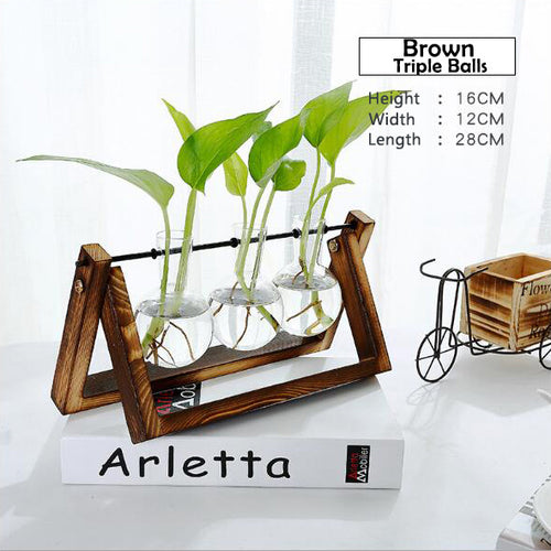 Load image into Gallery viewer, Transparent Glass Decorative Vase with Wooden Tray-home accent-wanahavit-Brown 2-wanahavit
