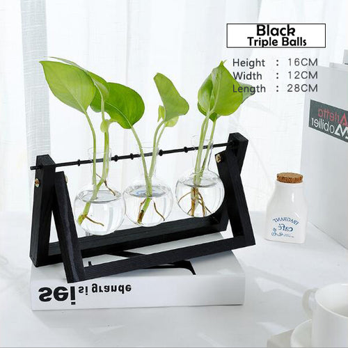 Load image into Gallery viewer, Transparent Glass Decorative Vase with Wooden Tray-home accent-wanahavit-Black 2-wanahavit
