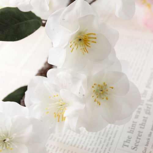 Load image into Gallery viewer, Artificial Japanese Cherry Blossoms-home accent-wanahavit-White-wanahavit
