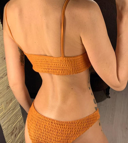 Sexy Wrinkled Butterfly Printed Bikini Female Swimsuit Women Swimwear Two-pieces Bikini set Bather Bathing Suit Swim Lady V713