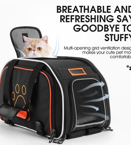 Multifunctional Bicycle Trunk Pet Bag Foldable Reflective Rear Bike Bag Travel Dog Cat Carrier Hand Shoulder Bag