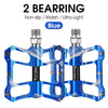 2 Bearings Blue