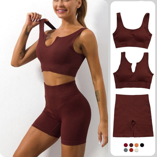 Load image into Gallery viewer, Sexy Seamless Yoga Gym Suits Quick Dry Ribbed Sports Crop Top Bra High Waist Shorts Workout Clothes for Women Tracksuit
