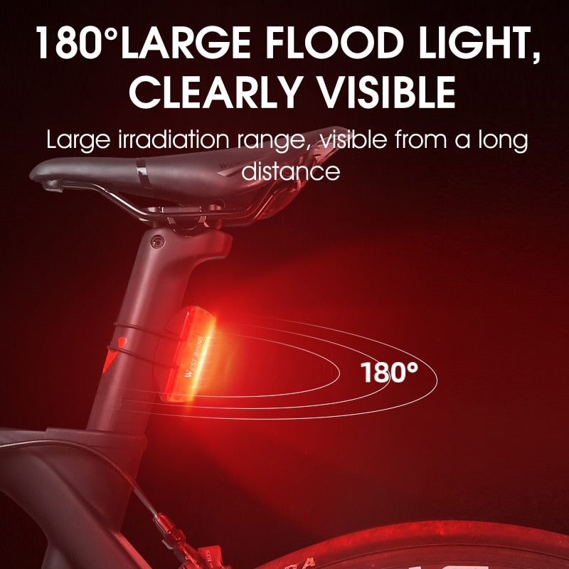 Smart Brake Sensing Taillight Bike Rear Light MTB Road Bicycle Lamp Waterproof COB LED Charging Cycling Accessories