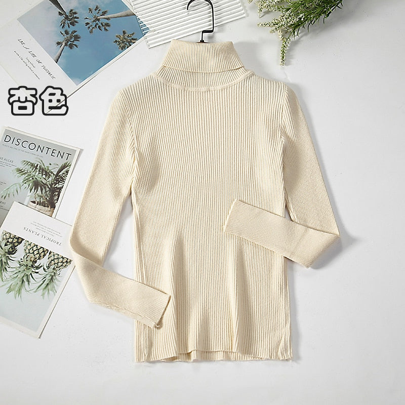 Basic Turtleneck Women Sweaters Autumn Winter Warm Pullover Slim Tops Ribbed Knitted Sweater Jumper Soft Pull Female