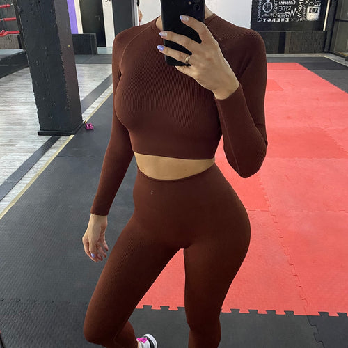 Load image into Gallery viewer, Ribbed Women Yoga Set Seamless Sportwear Top Leggings Fitness Sports Suit Workout Clothes Long Sleeve Sports Gym Cloyhing A069
