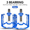 3 Bearings Blue