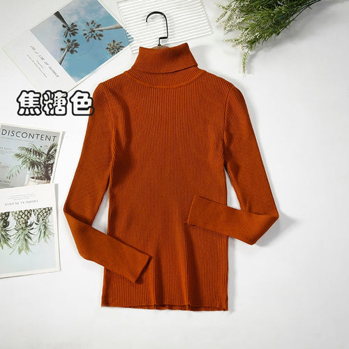 Load image into Gallery viewer, Basic Turtleneck Women Sweaters Autumn Winter Warm Pullover Slim Tops Ribbed Knitted Sweater Jumper Soft Pull Female
