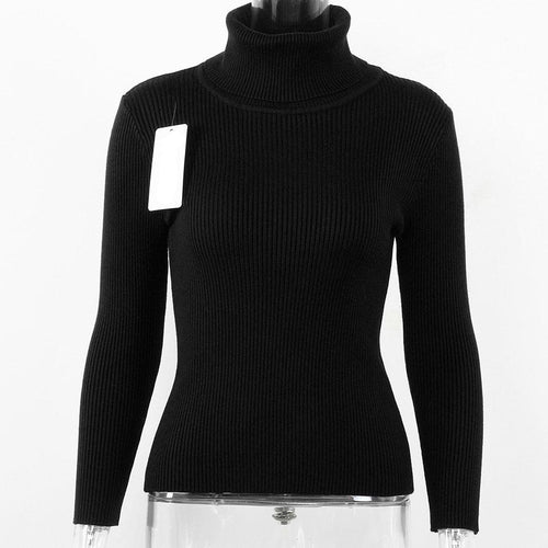 Load image into Gallery viewer, Turtleneck Knitted Long Sleeve Slim Fit Sweater-women-wanahavit-Black-One Size-wanahavit

