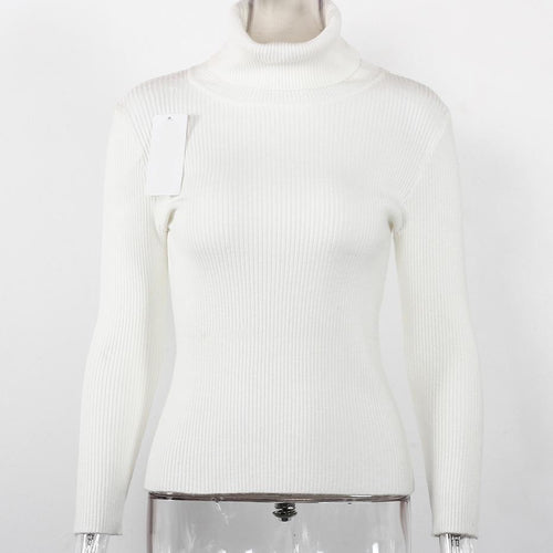Load image into Gallery viewer, Turtleneck Knitted Long Sleeve Slim Fit Sweater-women-wanahavit-White-One Size-wanahavit
