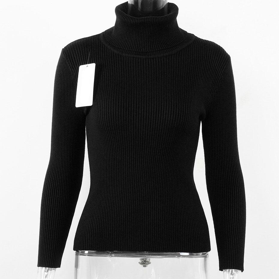 Turtleneck Knitted Long Sleeve Slim Fit Sweater-women-wanahavit-Black-One Size-wanahavit