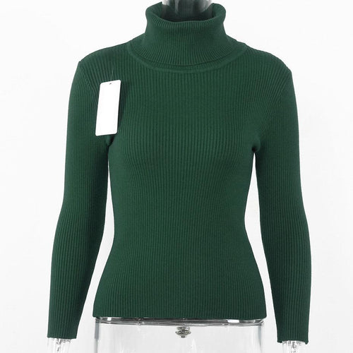 Load image into Gallery viewer, Turtleneck Knitted Long Sleeve Slim Fit Sweater-women-wanahavit-Green-One Size-wanahavit
