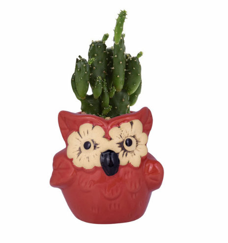 Cute Owl Ceramic Flower Vase-home accent-wanahavit-EQF170 1PC-wanahavit