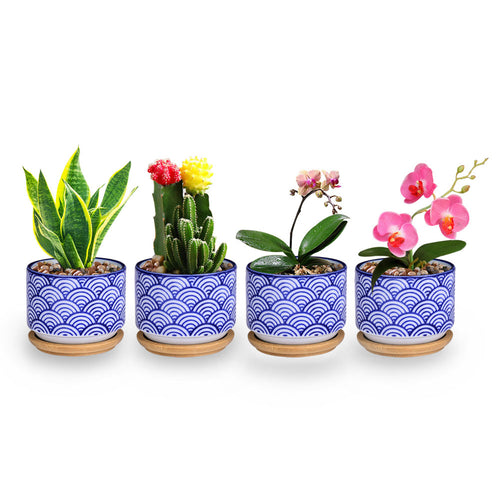 Load image into Gallery viewer, Small Glazed Ceramic Decorative Flower Pots-home accent-wanahavit-4pcs-wanahavit
