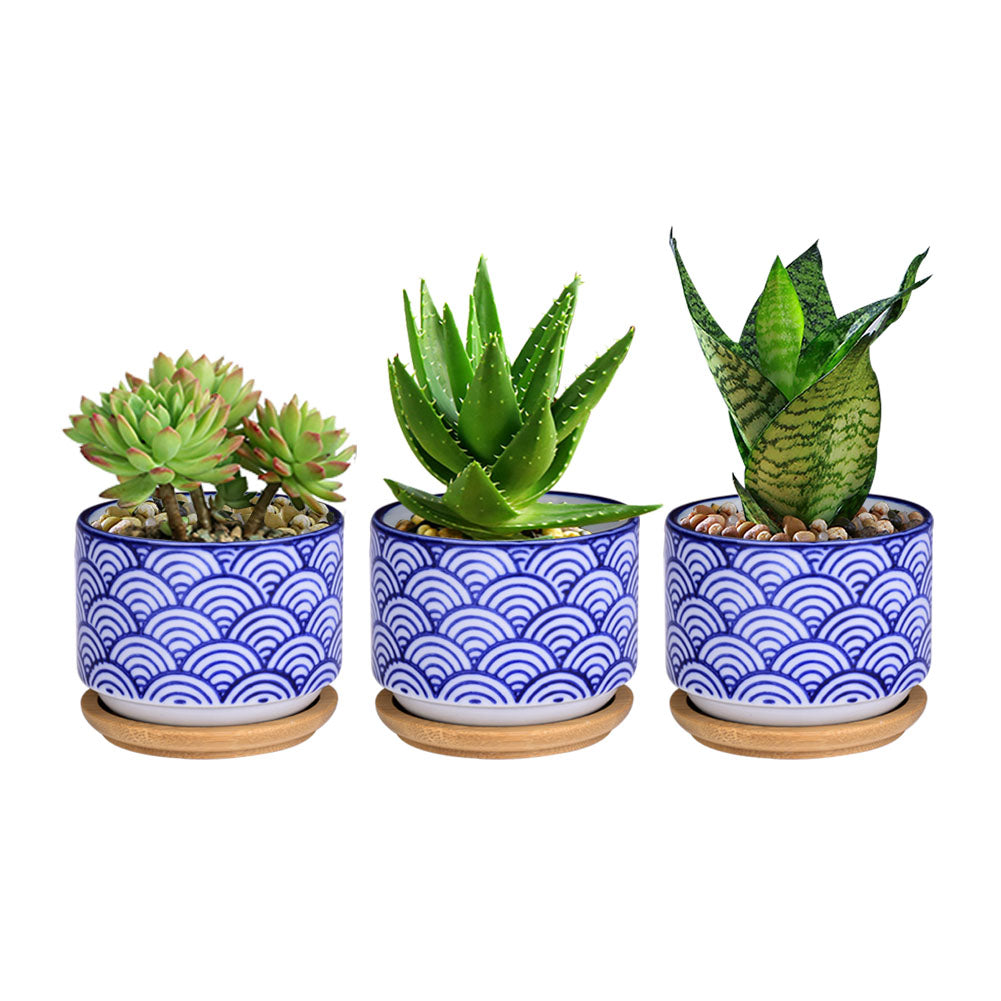 Small Glazed Ceramic Decorative Flower Pots-home accent-wanahavit-3pcs-wanahavit