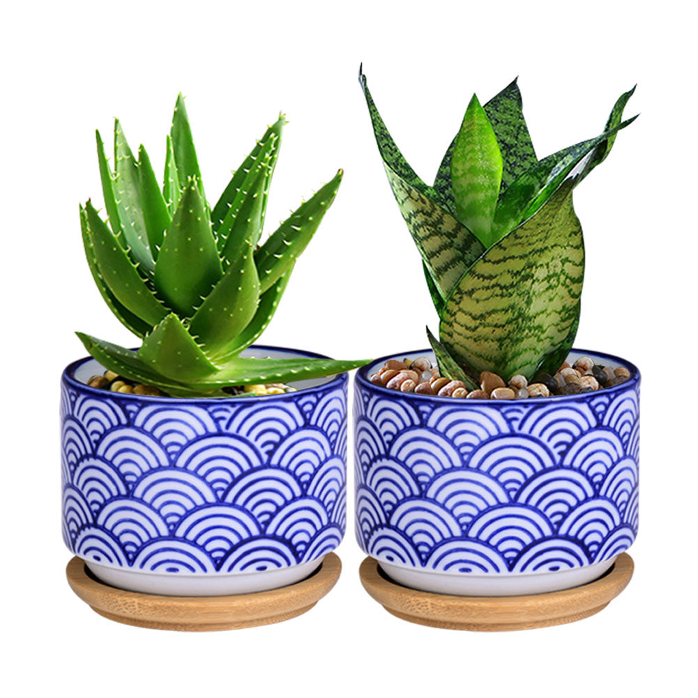 Small Glazed Ceramic Decorative Flower Pots-home accent-wanahavit-2pcs-wanahavit