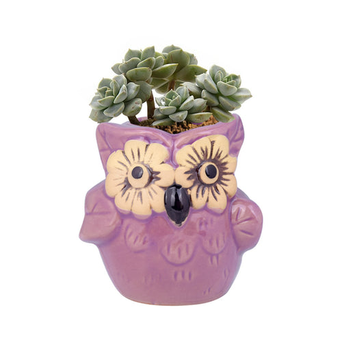 Load image into Gallery viewer, Cute Owl Ceramic Flower Vase-home accent-wanahavit-EQF168 1PC-wanahavit
