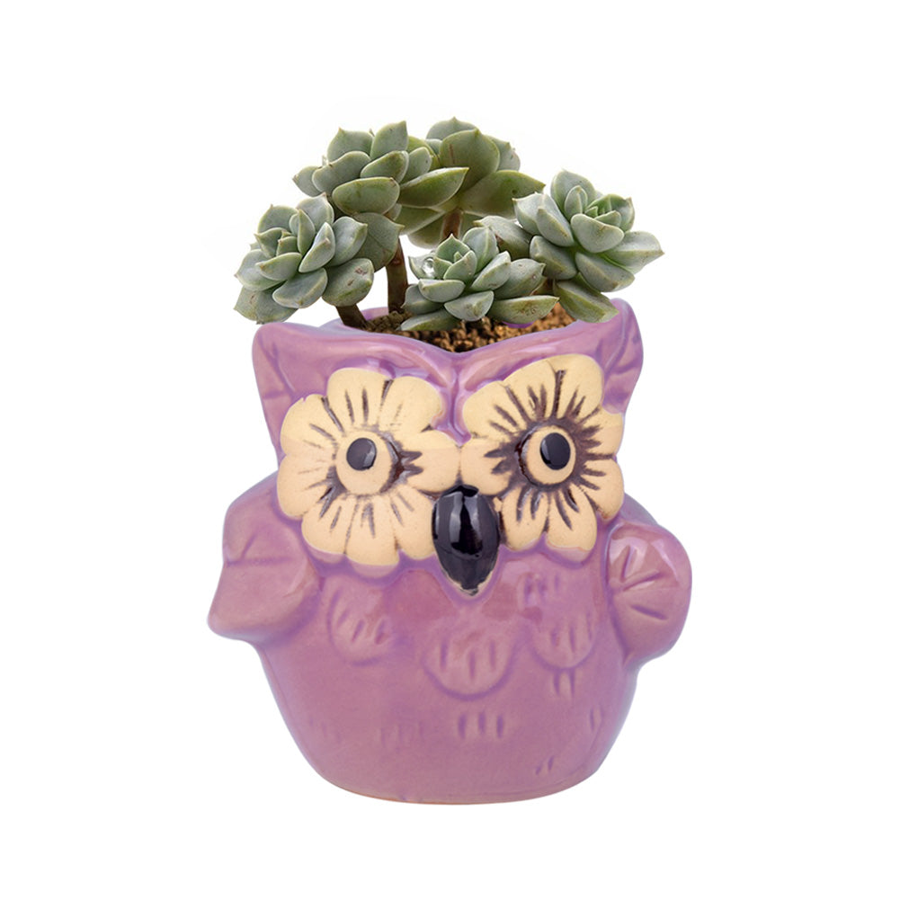 Cute Owl Ceramic Flower Vase-home accent-wanahavit-EQF168 1PC-wanahavit