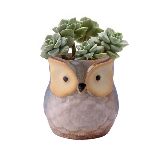 Load image into Gallery viewer, Cute Owl Ceramic Flower Vase-home accent-wanahavit-EQF157 1PC-wanahavit
