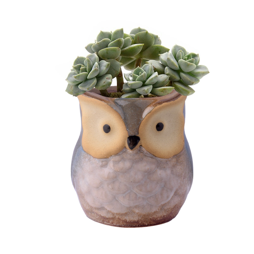 Cute Owl Ceramic Flower Vase-home accent-wanahavit-EQF157 1PC-wanahavit