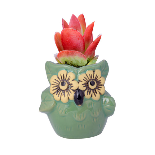 Load image into Gallery viewer, Cute Owl Ceramic Flower Vase-home accent-wanahavit-EQF166 1PC-wanahavit
