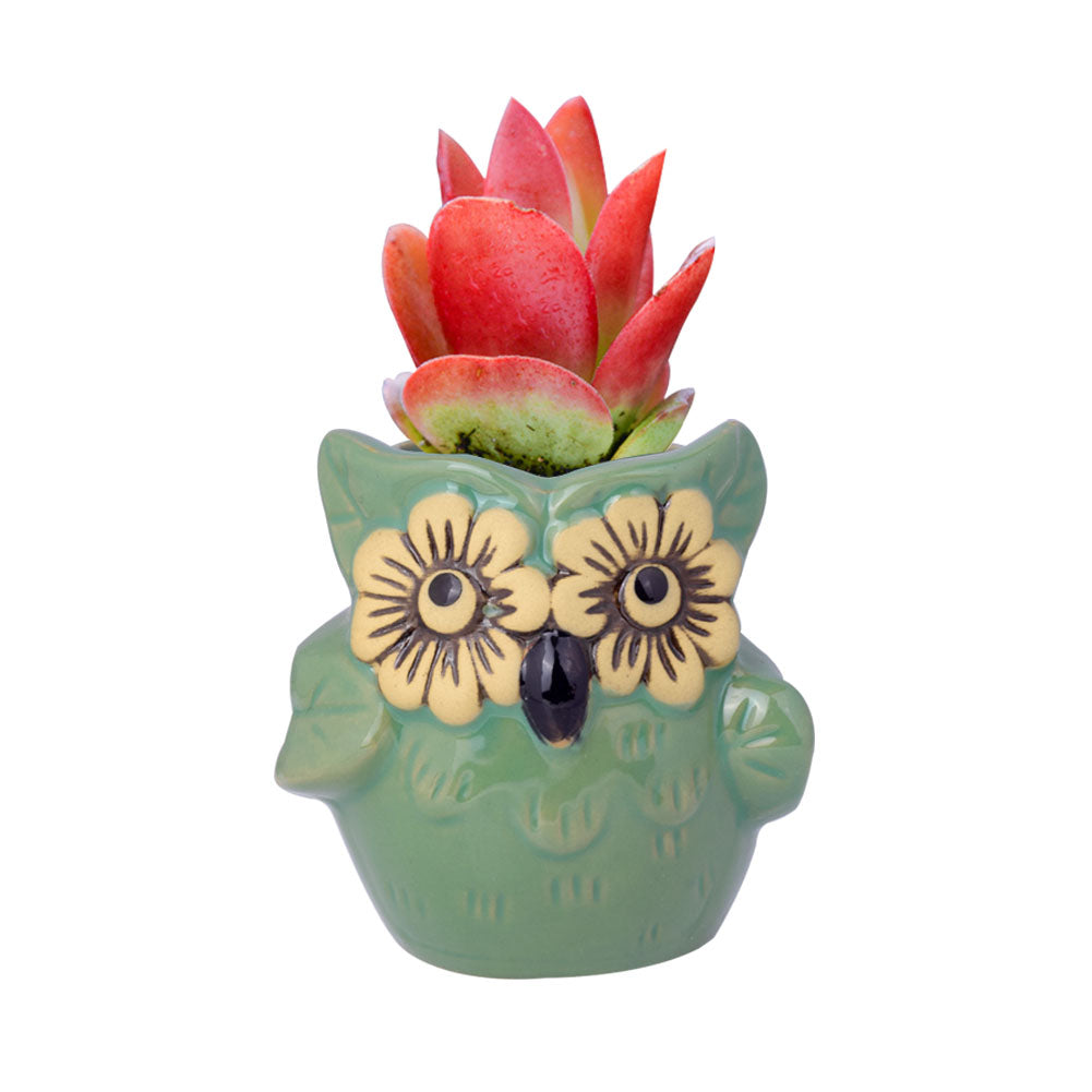Cute Owl Ceramic Flower Vase-home accent-wanahavit-EQF166 1PC-wanahavit