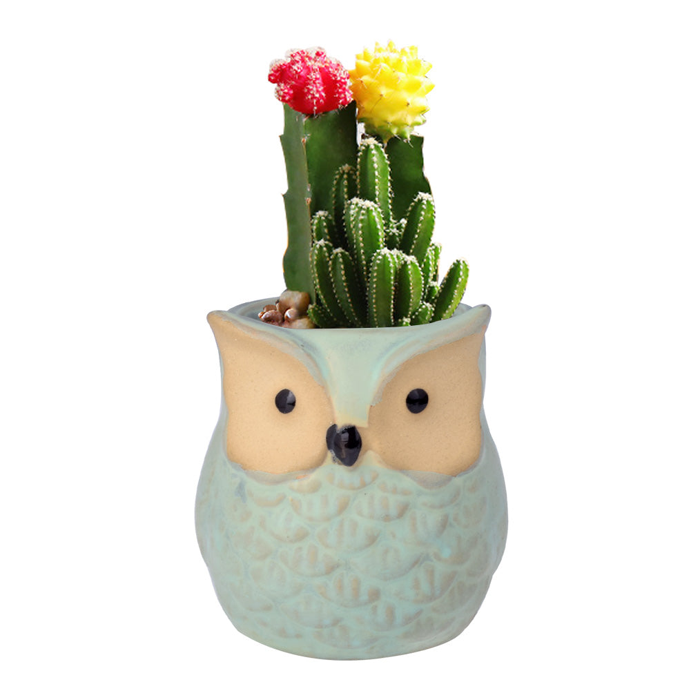 Cute Owl Ceramic Flower Vase-home accent-wanahavit-EQF158 1PC-wanahavit