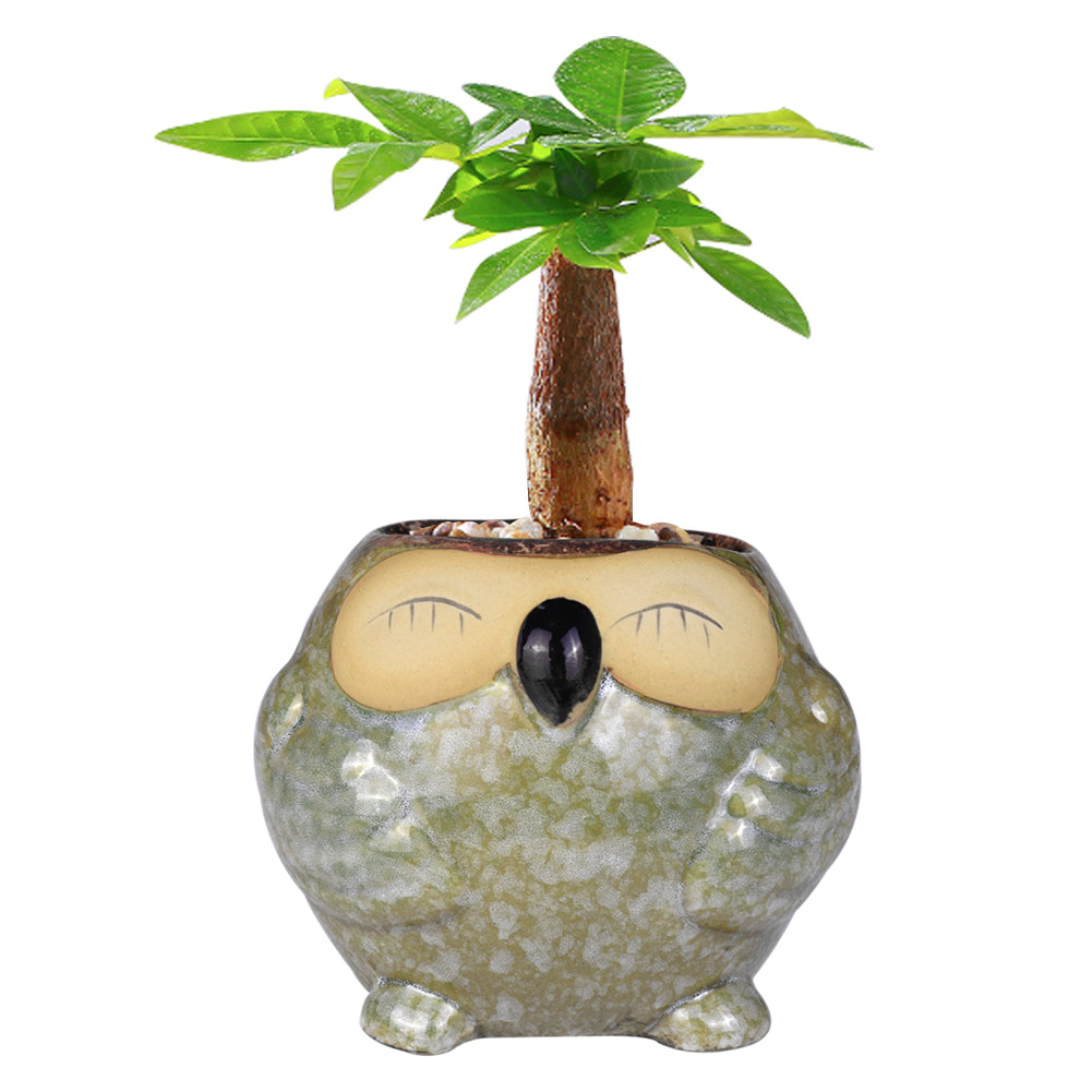 Cute Owl Ceramic Flower Vase-home accent-wanahavit-EQF178 1PC-wanahavit