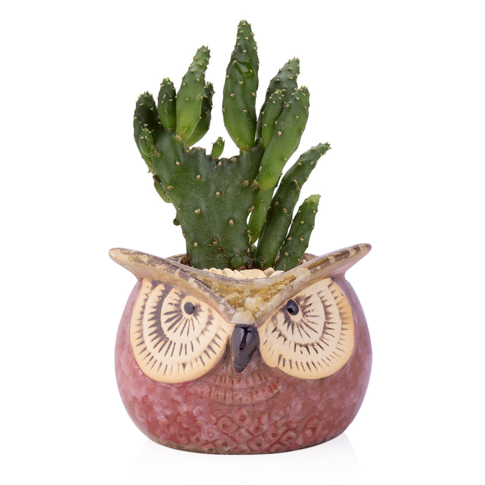 Cute Owl Ceramic Flower Vase-home accent-wanahavit-EQF188 1PC-wanahavit