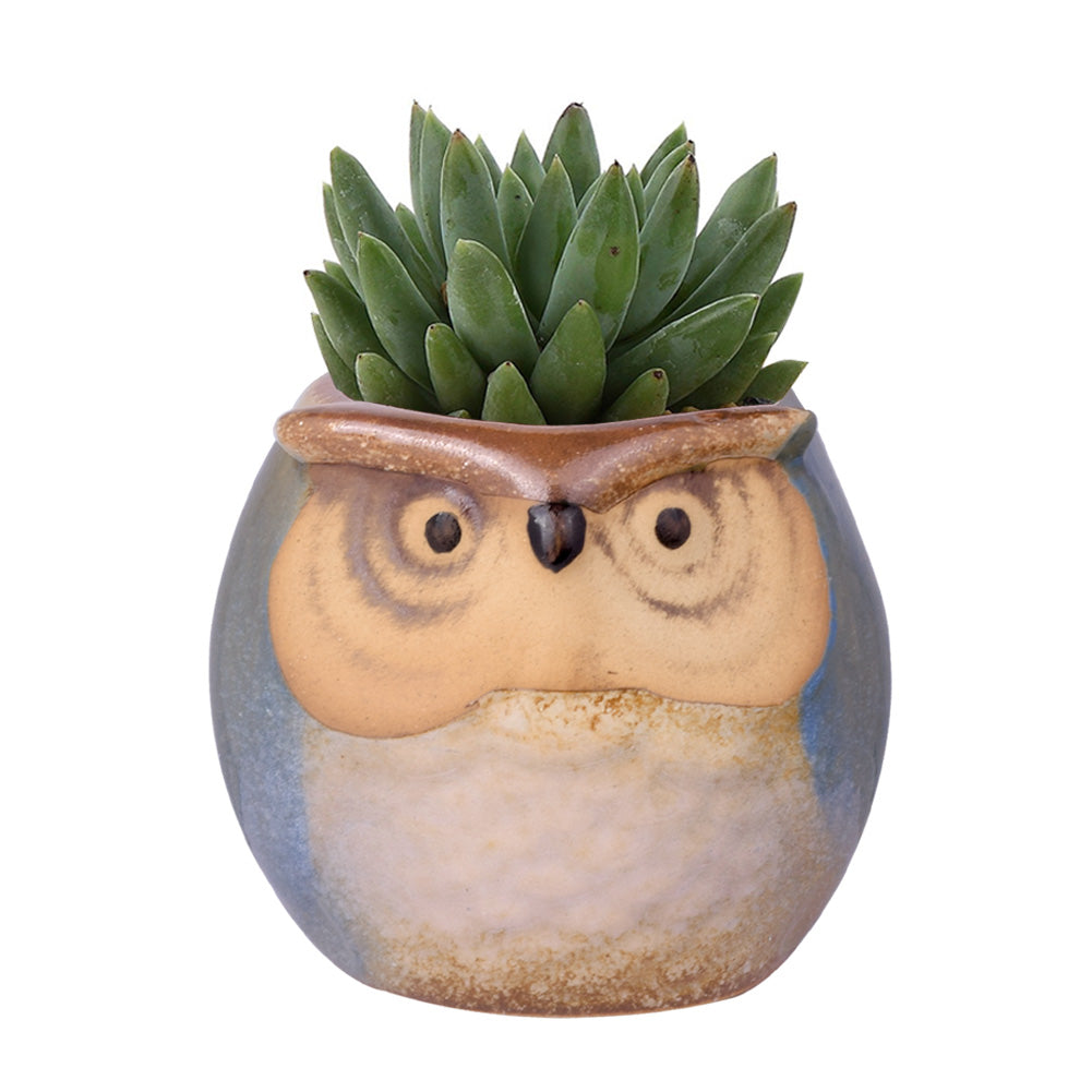 Cute Owl Ceramic Flower Vase-home accent-wanahavit-EQF160 1PC-wanahavit