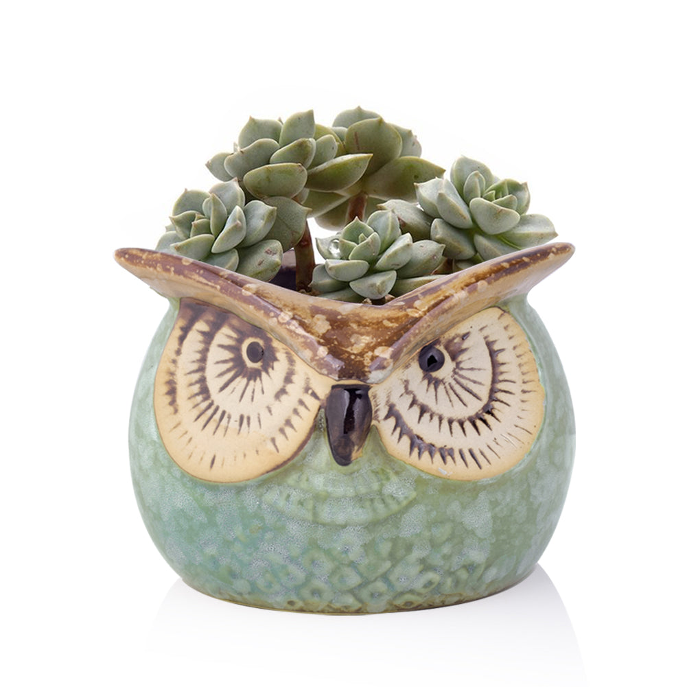 Cute Owl Ceramic Flower Vase-home accent-wanahavit-EQF186 1PC-wanahavit