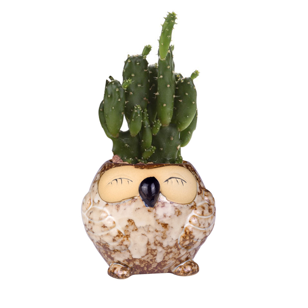 Cute Owl Ceramic Flower Vase-home accent-wanahavit-EQF180 1PC-wanahavit