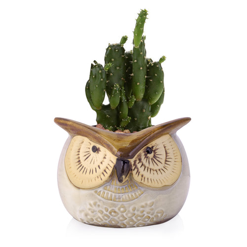 Load image into Gallery viewer, Cute Owl Ceramic Flower Vase-home accent-wanahavit-EQF187 1PC-wanahavit
