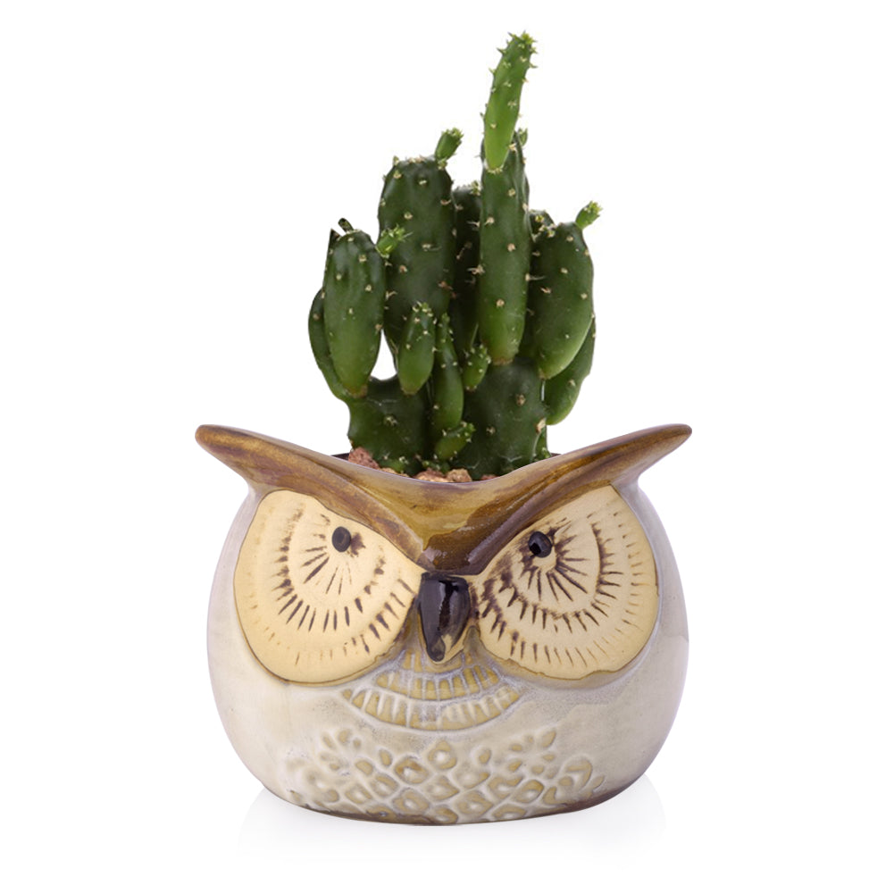 Cute Owl Ceramic Flower Vase-home accent-wanahavit-EQF187 1PC-wanahavit