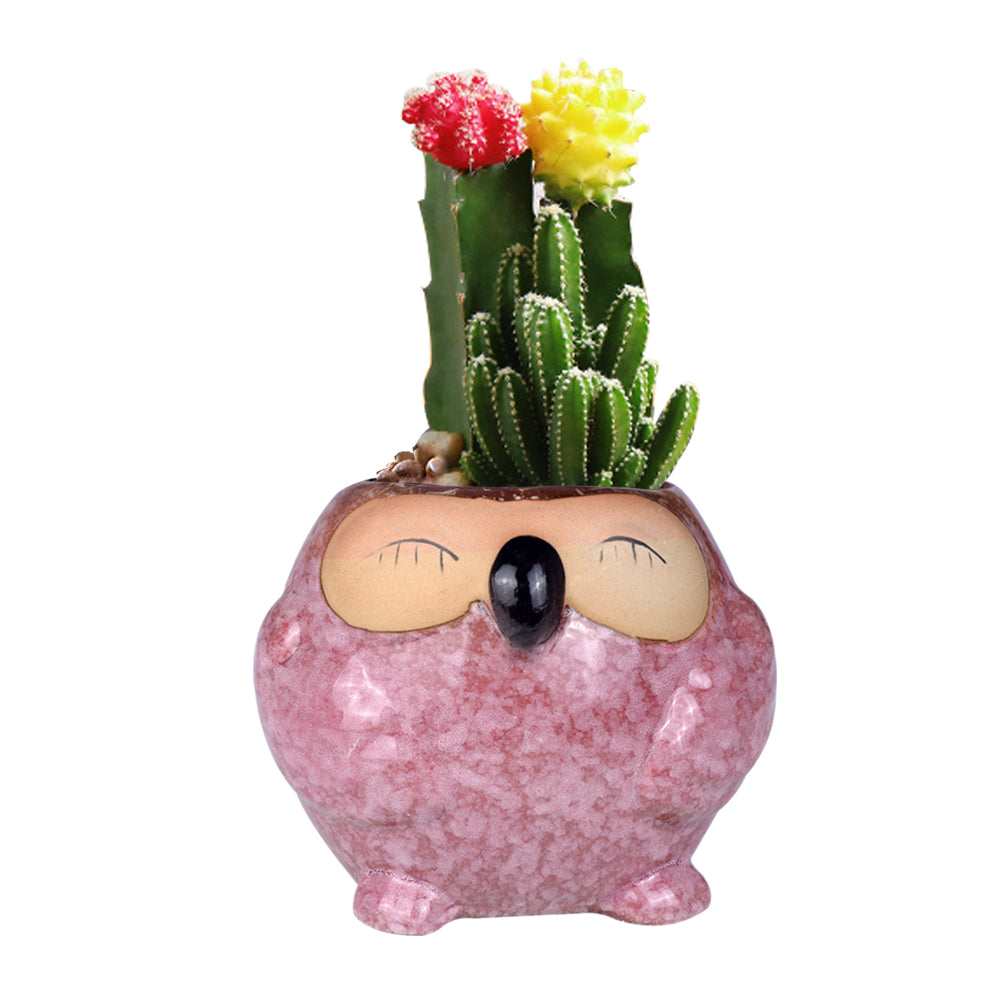 Cute Owl Ceramic Flower Vase-home accent-wanahavit-EQF176 1PC-wanahavit