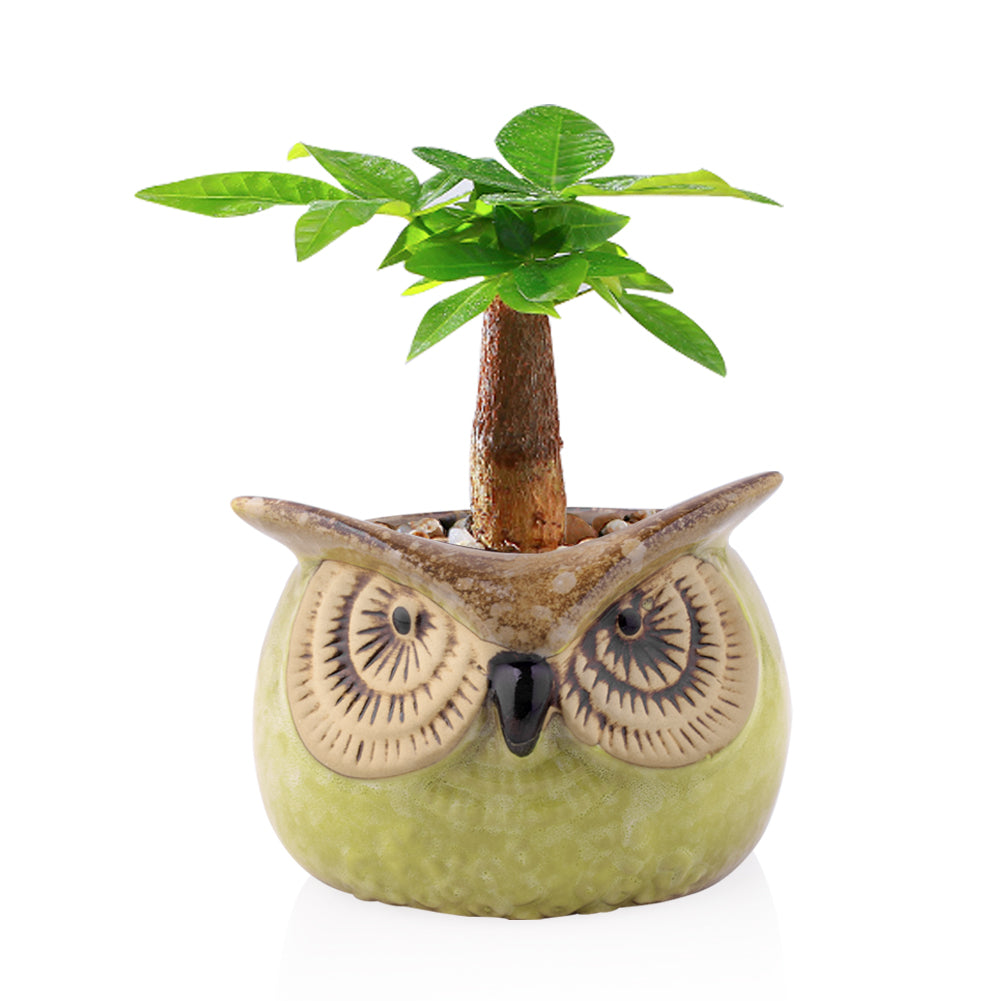 Cute Owl Ceramic Flower Vase-home accent-wanahavit-EQF190 1PC-wanahavit