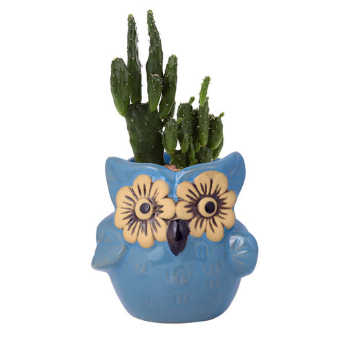 Load image into Gallery viewer, Cute Owl Ceramic Flower Vase-home accent-wanahavit-EQF167 1PC-wanahavit
