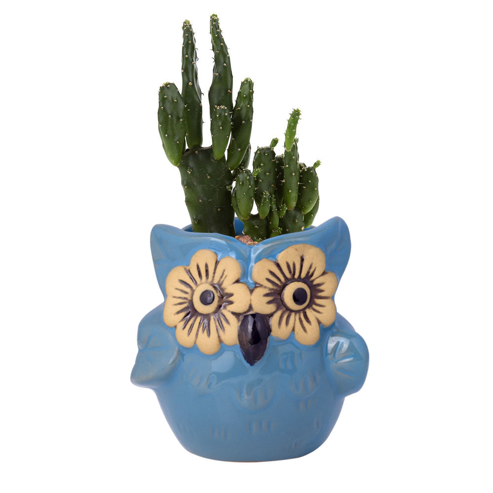 Cute Owl Ceramic Flower Vase-home accent-wanahavit-EQF167 1PC-wanahavit