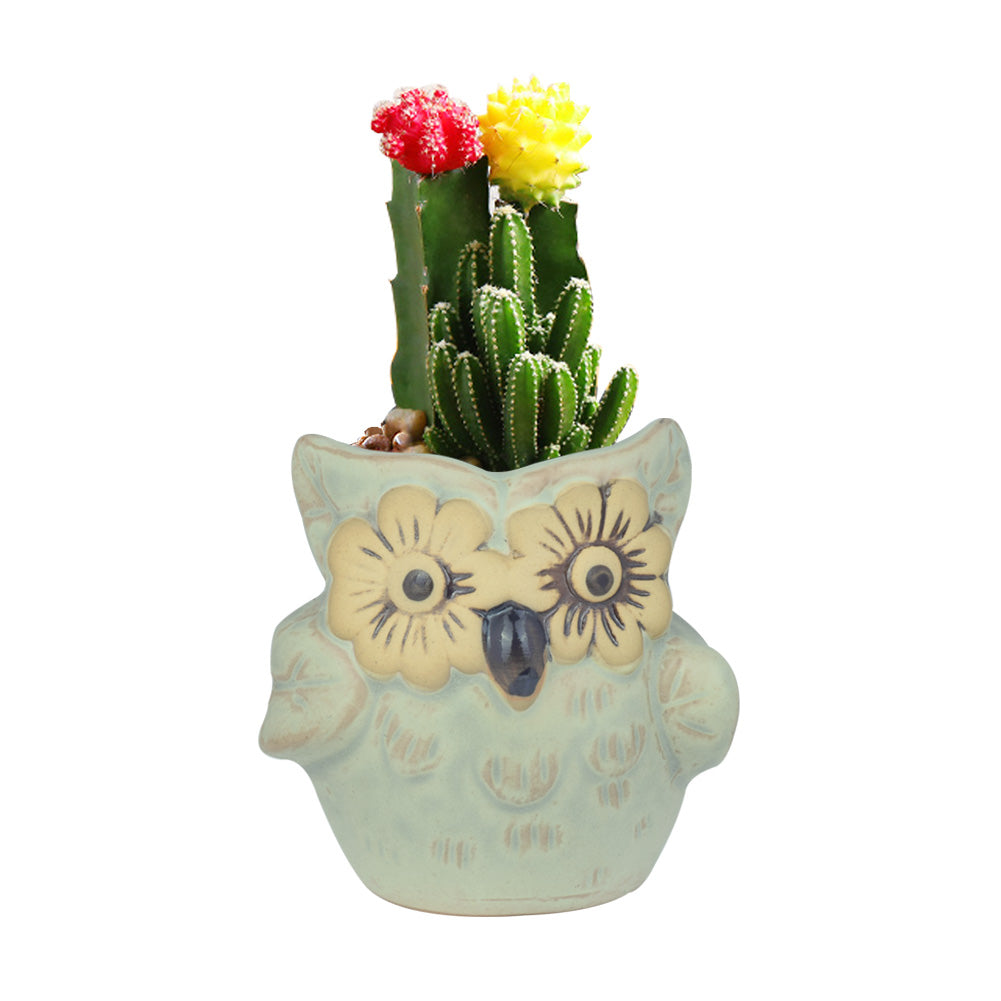 Cute Owl Ceramic Flower Vase-home accent-wanahavit-EQF171 1PC-wanahavit