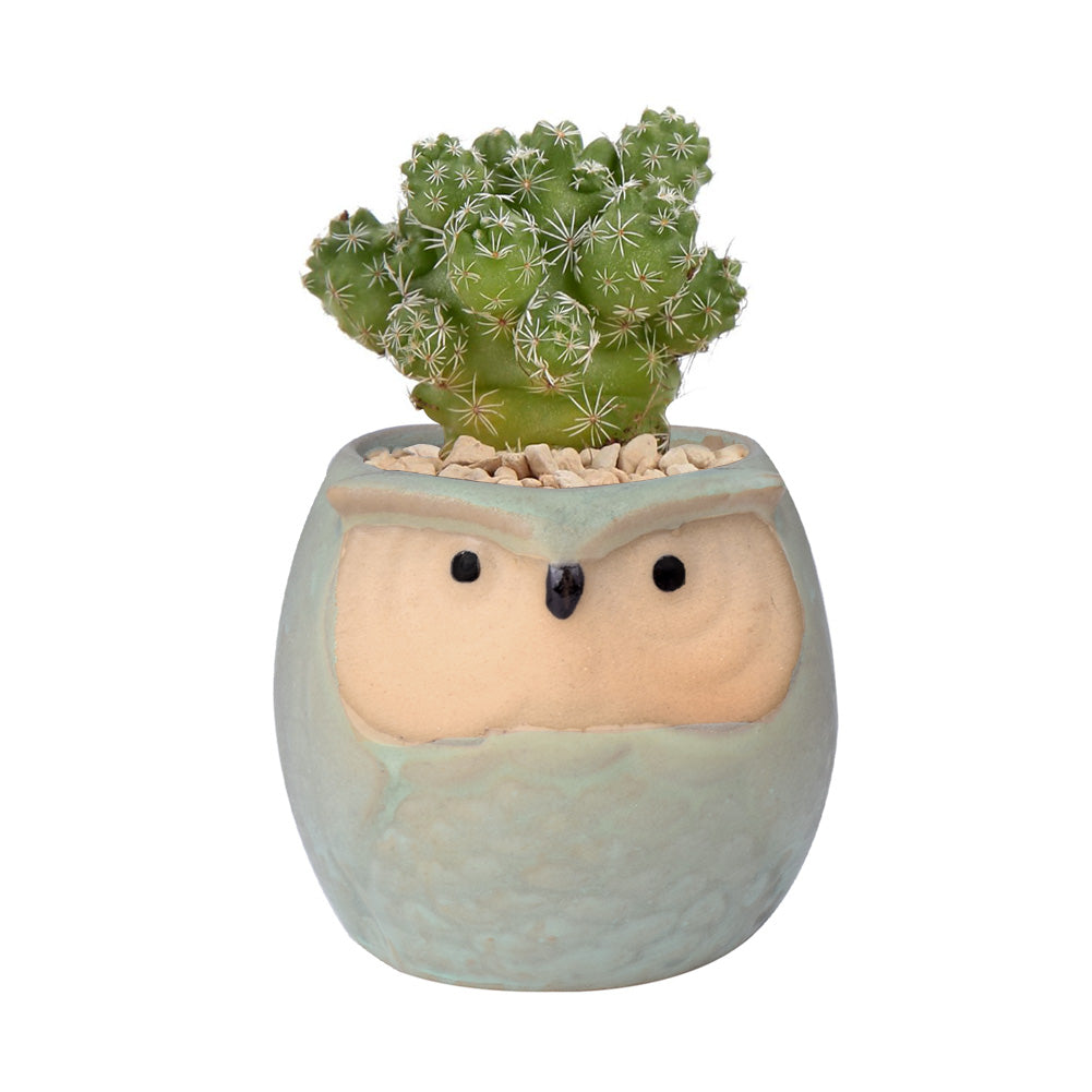 Cute Owl Ceramic Flower Vase-home accent-wanahavit-EQF161 1PC-wanahavit
