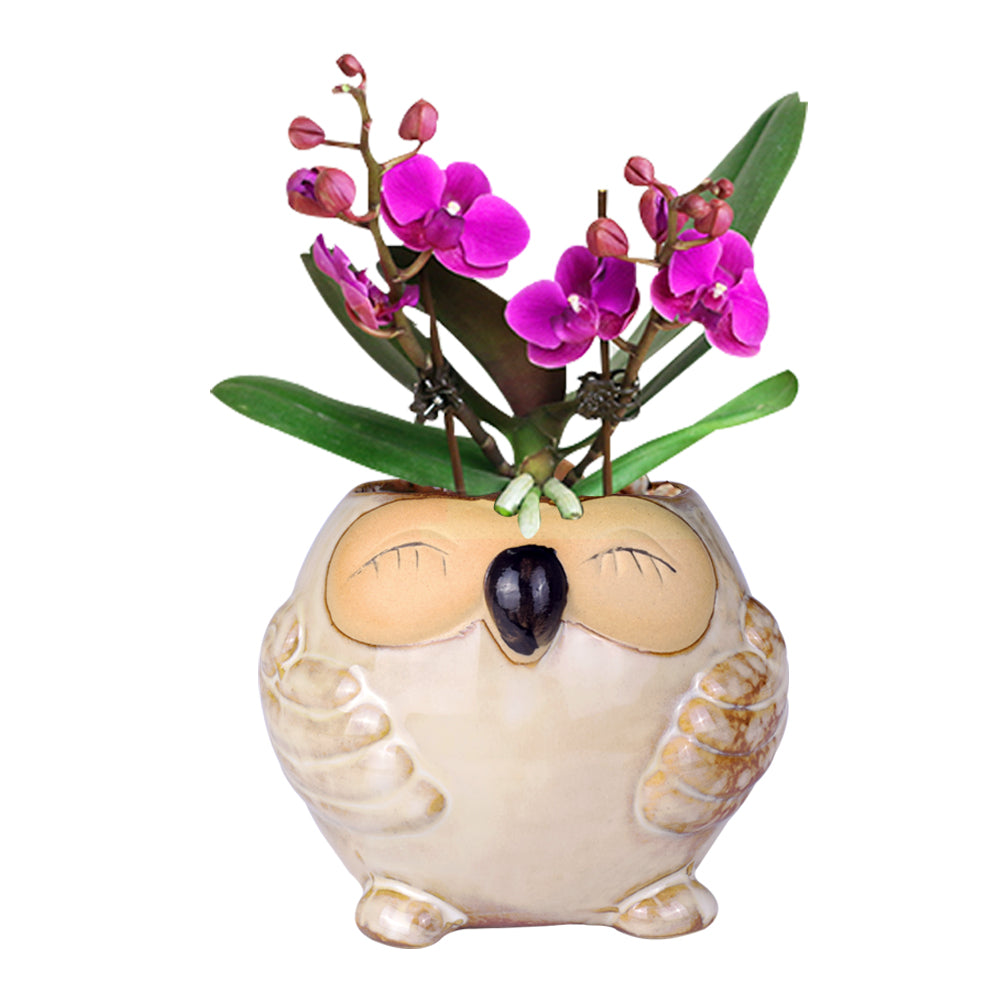 Cute Owl Ceramic Flower Vase-home accent-wanahavit-EQF179 1PC-wanahavit