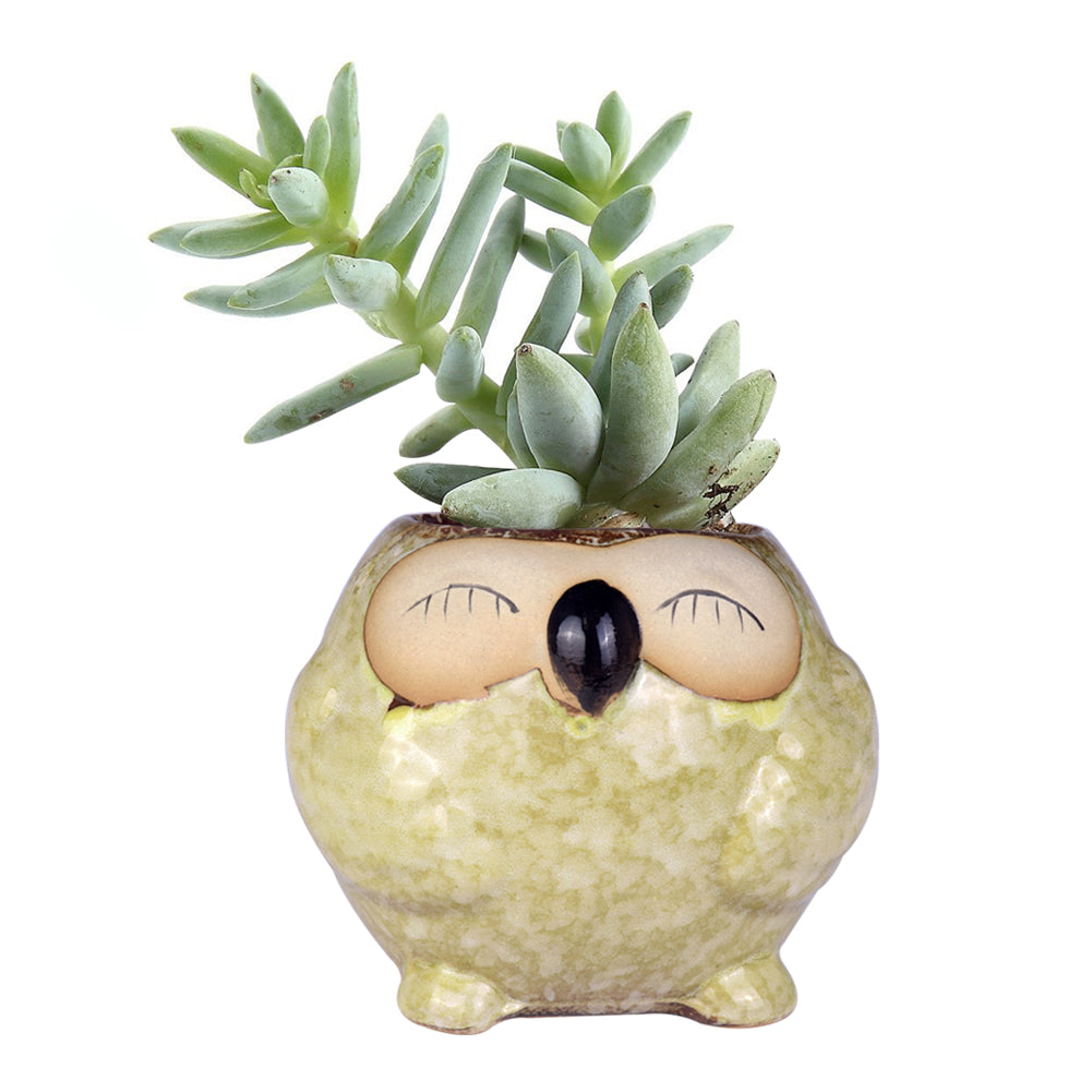 Cute Owl Ceramic Flower Vase-home accent-wanahavit-EQF181 1PC-wanahavit