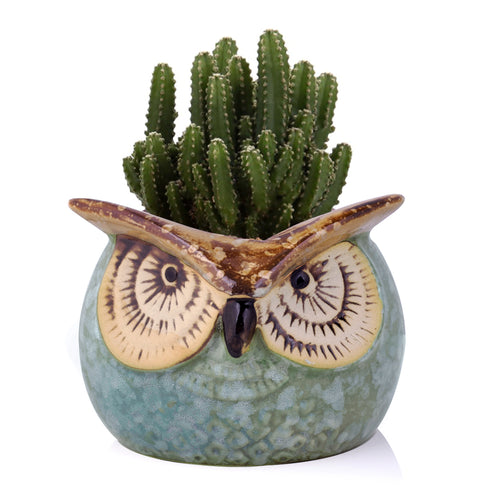 Load image into Gallery viewer, Desktop Bonsai Flower Miniature Owl Pot-home accent-wanahavit-Type 4-wanahavit

