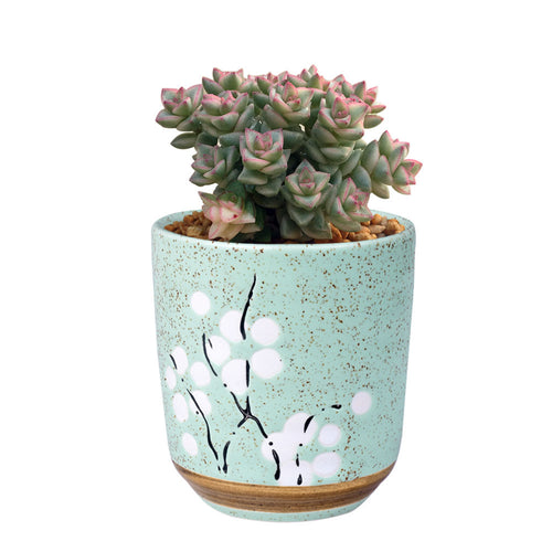 Load image into Gallery viewer, Cute Ceramic Decorative Flower Pots-home accent-wanahavit-Round Green-wanahavit
