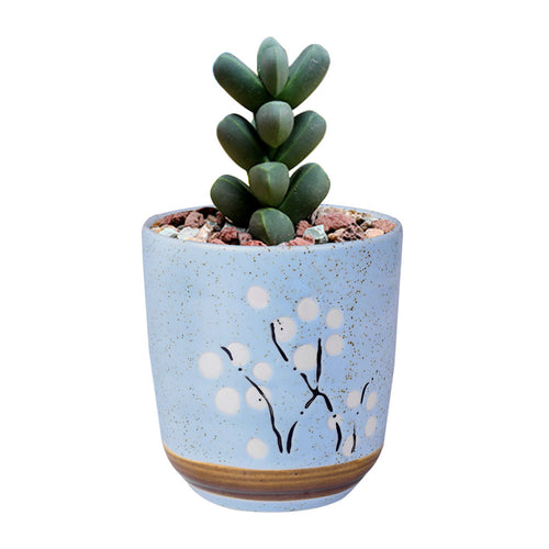 Load image into Gallery viewer, Cute Ceramic Decorative Flower Pots-home accent-wanahavit-Round Blue-wanahavit
